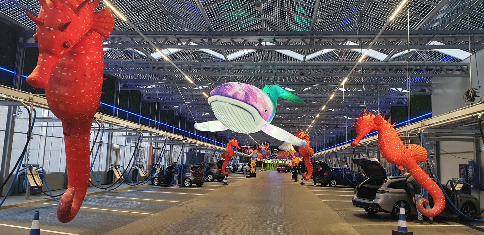 Loogman Aalsmeer: Stofzuigen & zo