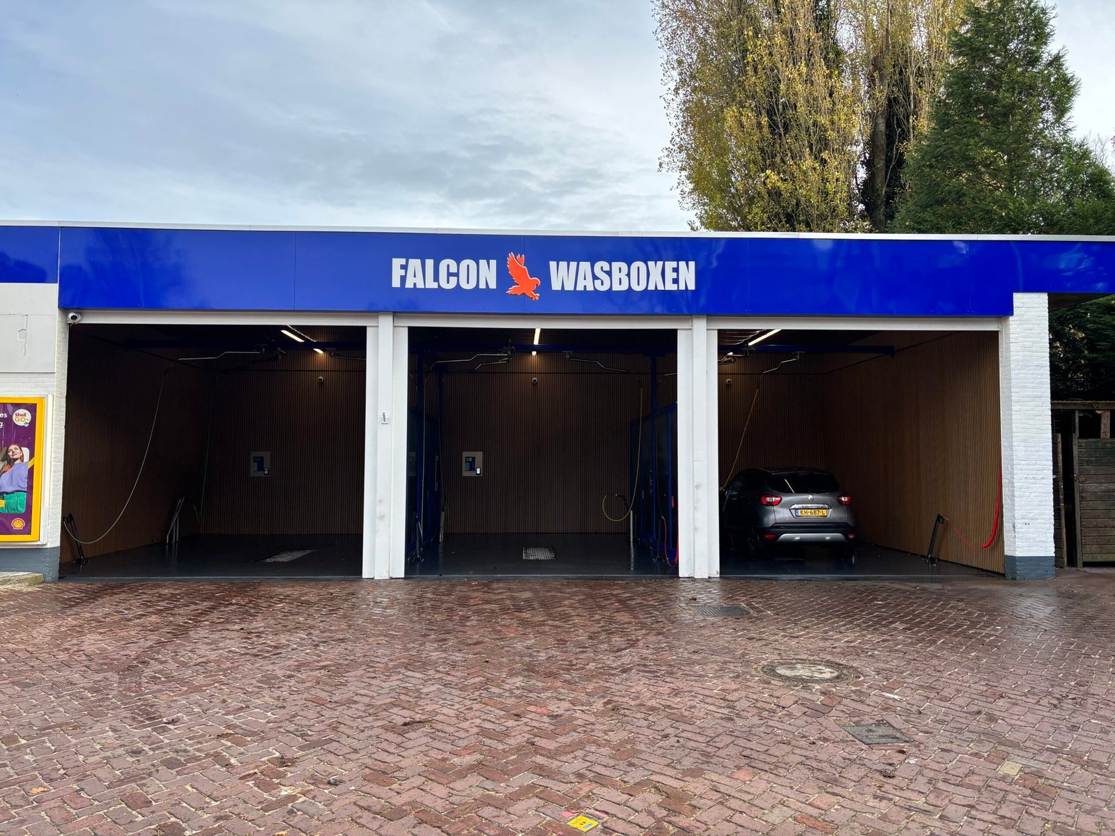 falcon heemstede